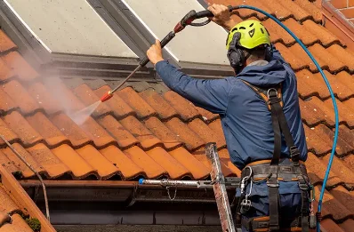 Démoussage et hydrofuge de toiture aux Aulneaux